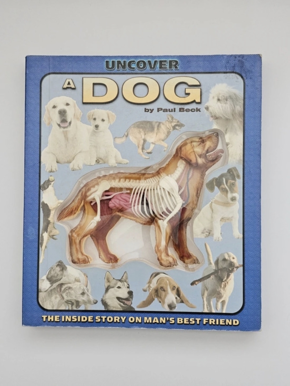 Uncover a Dog Book Paul Beck Hardcover 3D Layered Plastic Anatomy Model Kids